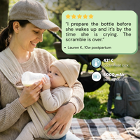 Bebeino Portable Bottle Warmer